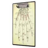  anatomie | Botten van de hand Klembord (Links)