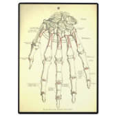  anatomie | Botten van de hand Klembord (Achterkant)