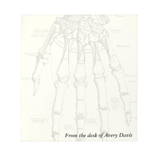  anatomie | Botten van de hand Notitieblok (Voorkant)