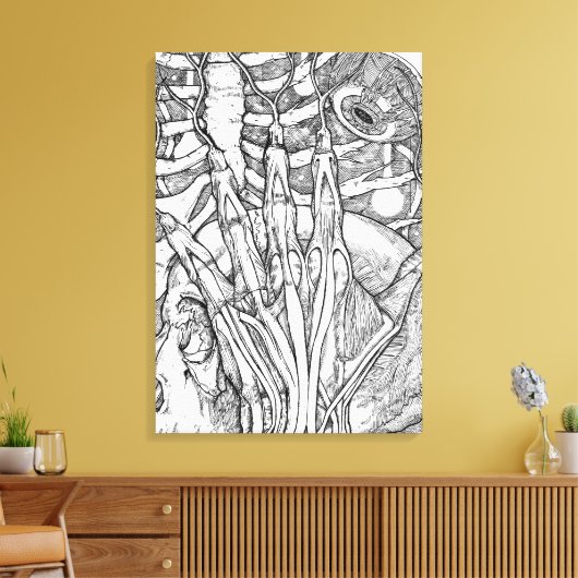 Anatomie Canvas Afdruk (Insitu (Woonkamer))