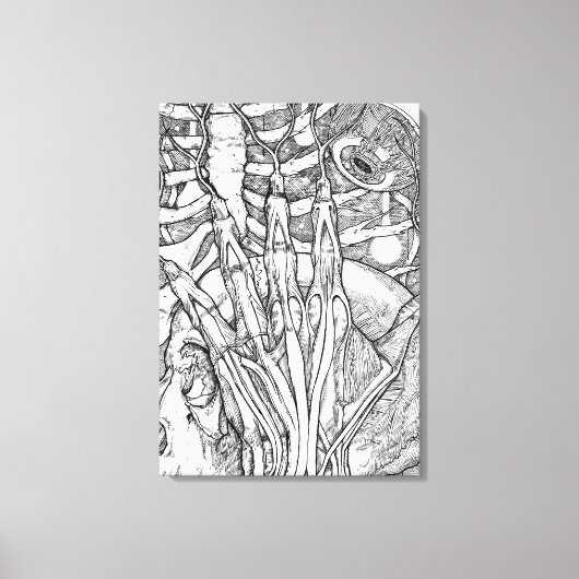 Anatomie Canvas Afdruk (Voorkant)
