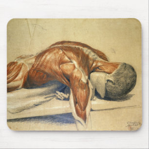 anatomie Charles Landseer A Dissected Body Muismat