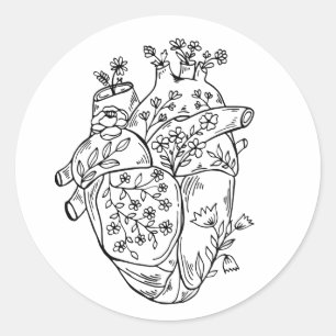 Anatomie coeur autocollant