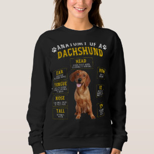 Anatomie dachshund voor vrouwelijke Mannen Trui