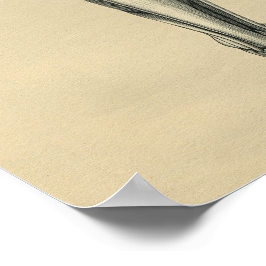 Anatomie de la jambe humaine 1902 Impression Vinta (Coin)