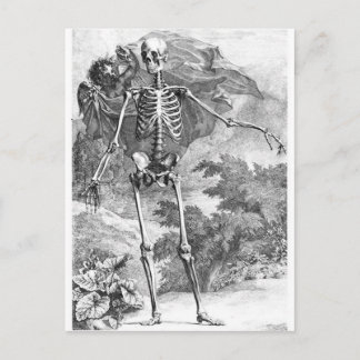 Anatomie de la mort vintage carte postale