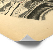 Anatomie de la tête de cheval 1908 Impression Vint (Coin)