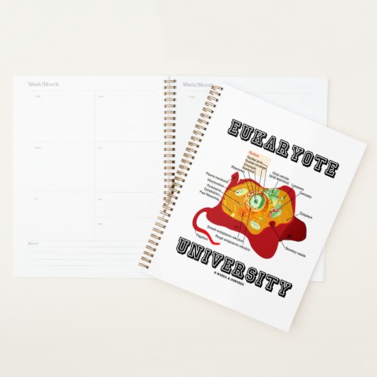 Anatomie des cellules animales de l'Université Euk (Devant avec enveloppe)