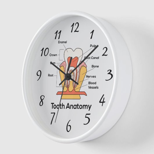 Anatomie des dents Graphique grand horloge murale (Angle)