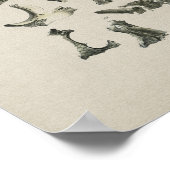 Anatomie des os crâniens humains Impression Vintag (Coin)