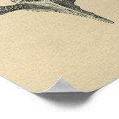 Anatomie des vertèbres humaines 1902 Impression Vi (Coin)