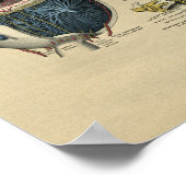 Anatomie des yeux humains 1902 Impression Vintage (Coin)