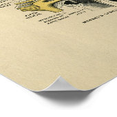 Anatomie des yeux humains 1902 Impression Vintage (Coin)