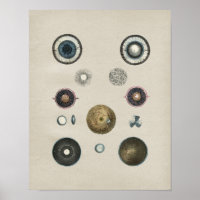 Anatomie des yeux humains Impression Vintage
