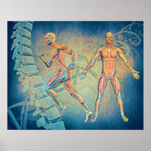 Anatomie digitale kunst poster