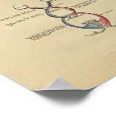 Anatomie du cou de la tête humaine 1902 Impression (Coin)