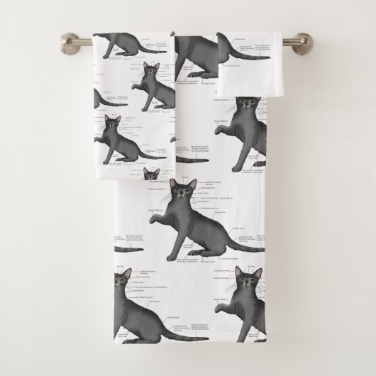 Anatomie d'un chat (En situation)