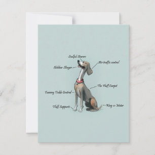 Anatomie d'un chien Carte d'anniversaire