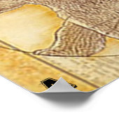 Anatomie d'une affiche d'ours (Coin)