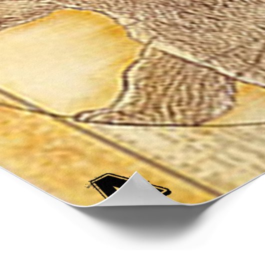 Anatomie d'une affiche d'ours (Coin)