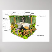 Anatomie d'une affiche feuille (Devant)