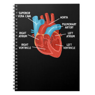 Anatomie-educatie hartdiologie notitieboek