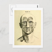  anatomie | Gezichtsspieren (circa 1852) Briefkaart (Voorkant / Achterkant)