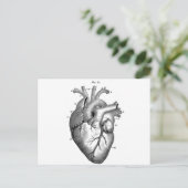 Anatomie-hart-Afbeeldingen- Briefkaart (Staand voorkant)