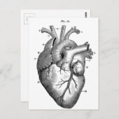 Anatomie-hart-Afbeeldingen- Briefkaart (Voorkant / Achterkant)
