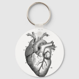 Anatomie-hart-Afbeeldingen- Sleutelhanger