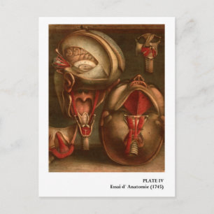 anatomie Hoofd en nek Briefkaart