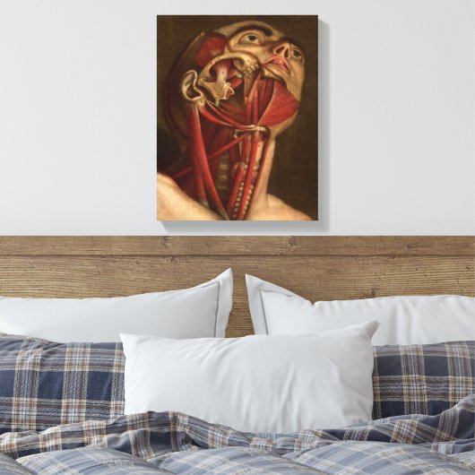 anatomie | Hoofd en nek Canvas Afdruk (Insitu (Slaapkamer))