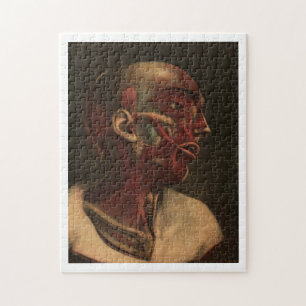 anatomie   Hoofd, nek en schouders Legpuzzel