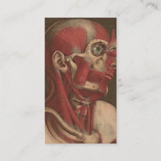anatomie | Hoofd, nek en schouders Visitekaartje (Voorkant)