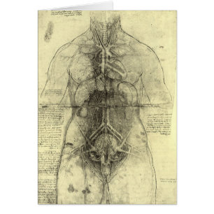 Anatomie humaine, Torse féminine par Leonardo da V