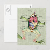 Anatomie illustratie van de kikker briefkaart (Voorkant / Achterkant)