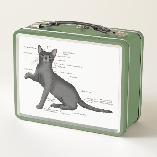 Anatomie Kat Grappig (Achterkant)