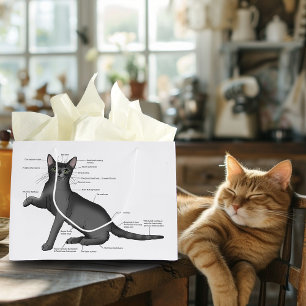 Anatomie Kat Grappig Groot Cadeauzakje