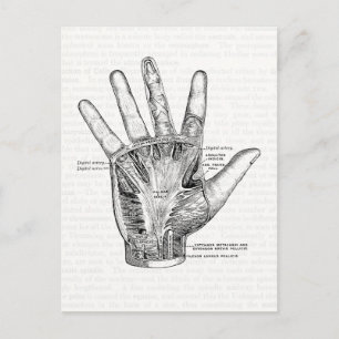  anatomie Kunst Het palm van de hand Briefkaart