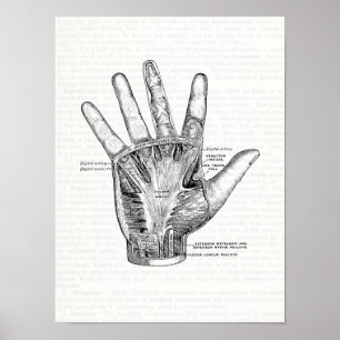  anatomie Kunst Het palm van de hand Poster