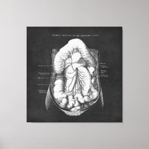 Anatomie kunst van het spijsverteringsstelsel canvas afdruk