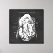 Anatomie Kunst van het spijsverteringsstelsel Doct Canvas Afdruk (Voorkant)