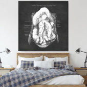 Anatomie Kunst van het spijsverteringsstelsel Doct Canvas Afdruk (Insitu (Slaapkamer))
