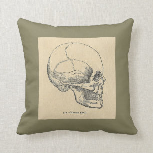  anatomie kussen