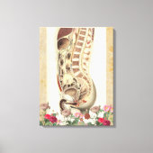 anatomie medische canvas kunstdruk (Voorkant)
