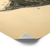 Anatomie musculaire du cheval 1908 Impression Vint (Coin)