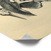 Anatomie musculaire humaine 1902 Impression Vintag (Coin)