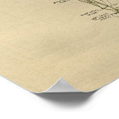 Anatomie Nerve humaine 1902 Impression Vintage (Coin)