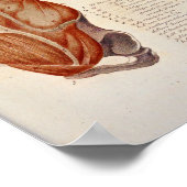 Anatomie op de borst Anatomie op de voorzijde Poster (Hoek)