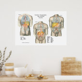 Anatomie Poster van topografie van het menselijk o (Keuken)